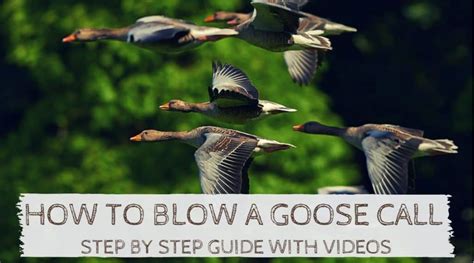 Best Goose Call For Beginners (April 2024) - OutdoorStack