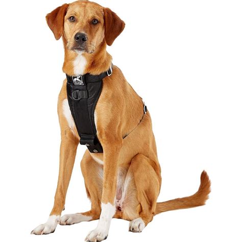 Best Harness For Dogs Dog Harnesses for Every Kind of Dog