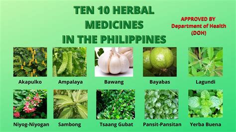 Best Herbal Medicines Price List in Philippines April 2024