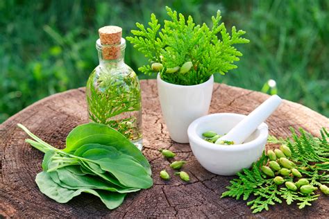 Best Herbalists in Maryborough VIC - Natural Therapy Pages