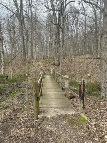 Best Hikes and Trails in Barkcamp State Park AllTrails