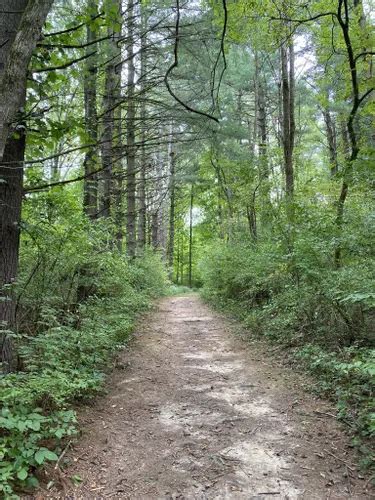 Best Hikes and Trails in Indian Creek Preserve AllTrails