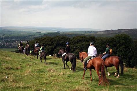 Best Horse Riding and Stables In Gullane, Edinburgh and Lothian