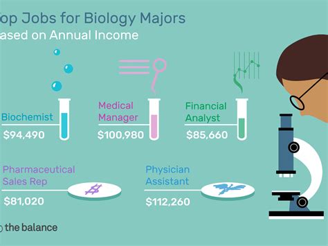 Best Jobs for a Bachelor’s Degree in Biology - The College of …