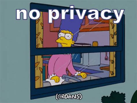 Best Lack Of Privacy GIFs Gfycat