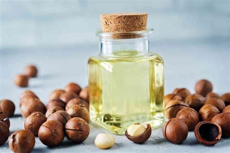 Best Macadamia Oil Substitutes [8 Amazing Options] - Foodies …