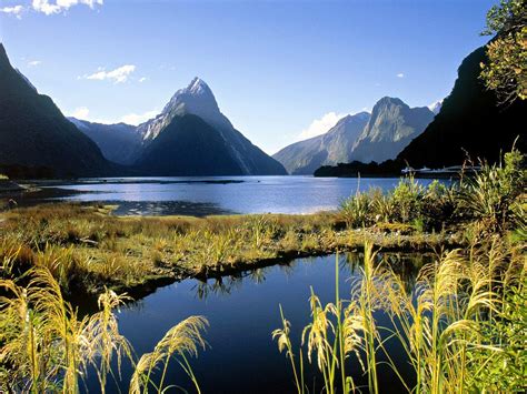 Best New Zealand Coach and Bus Tours for Seniors Hinterland …