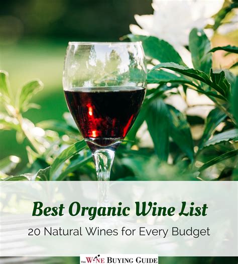 Best Organic Wine List: 20 Natural Wines for Every Budget