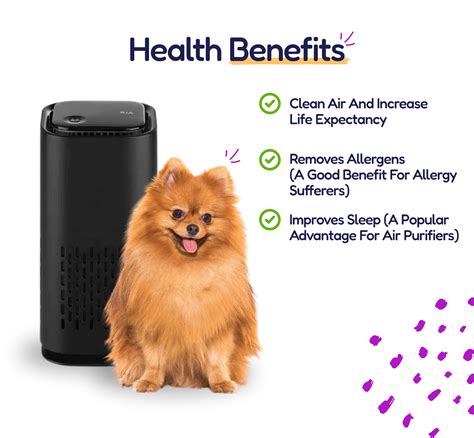 Best Pet Air Purifier – Puppy Mothers