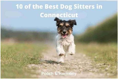 Best Pet Sitters in Goshen, CT Rover.com