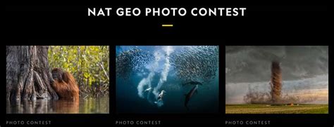 Best Photography Contests, All 2024 Prestigious Photo Competitions