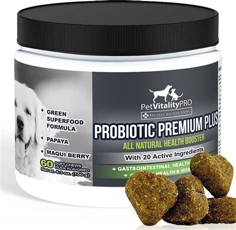 Best Probiotic For French Bulldog Puppy