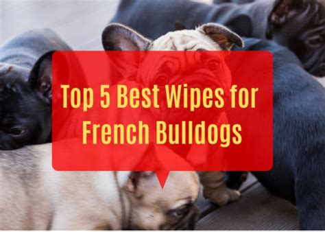 Best Puppy Wipes For French Bulldogs