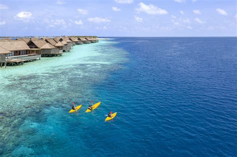 Best Resort House Reefs in the Maldives, where will …