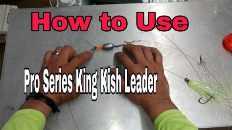 Best Rod For Kingfish Fishing - Justagric