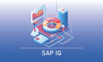 Best SAP IQ Online Training SAP IQ Course Certification