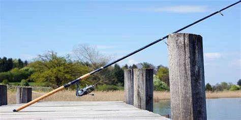 Best Spinning Rods Under $50 - Our Top 10 Picks In 2024