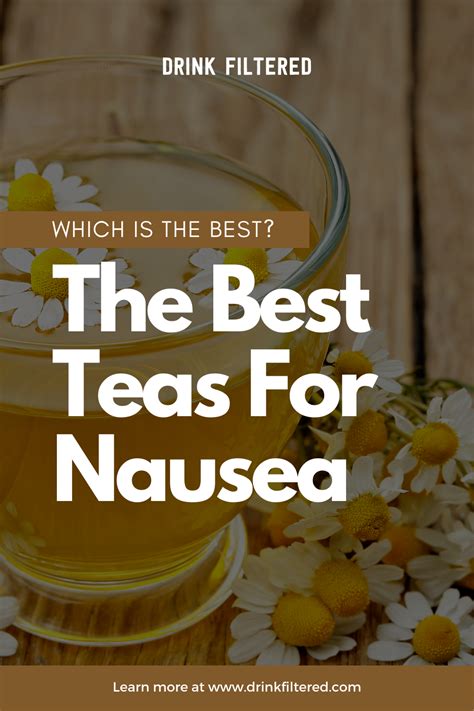 Best Tea For Nausea & Anxiety (15+ List) OptimistMinds