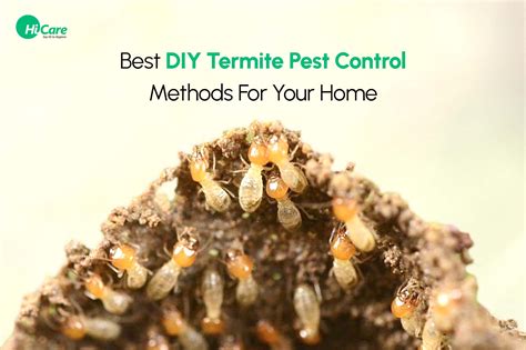 Best Termite Control