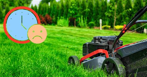 Best Time Of Day To Mow Lawn (And Worst Time) In …