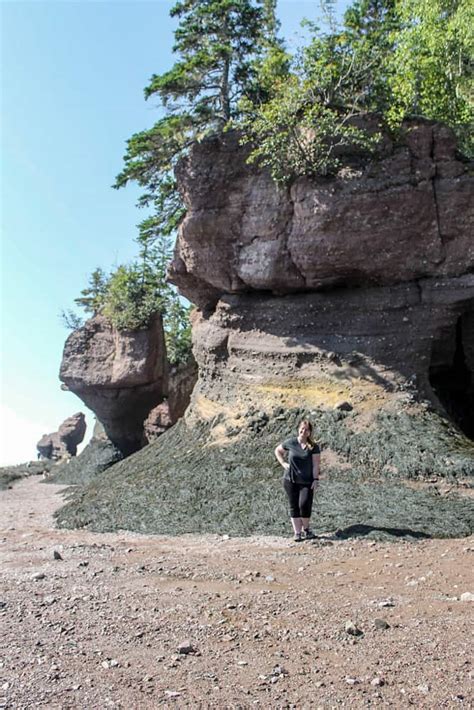 Best Time to Visit Hopewell Rocks: Tides & Tips for 2024