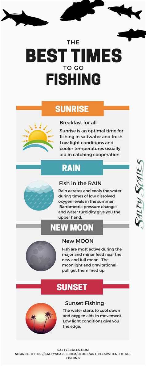 Best Time to go Fishing How to Get it Right!