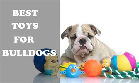 Best Toys For Bulldog Puppies