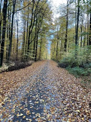 Best Trail Running Trails in Stromberg-Heuchelberg Nature Park