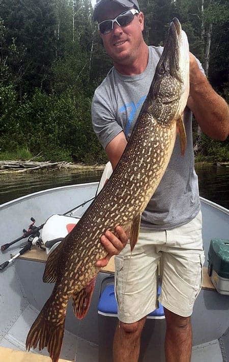 Best Trophy Northern Pike Photos #1 Northern Pike fishing