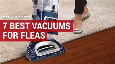 Best Vacuum For Fleas 2024 - (Protect Your Cats & Dogs)