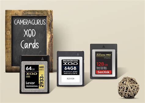Best XQD & UHSII SD Memory Cards for Nikon D500 Daily Camera News