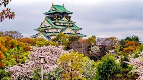Best airline to fly to japan. Tokyo. Tue, 2 Jul CNS - NRT with Jetstar. Direct. from $306. Nagoya.$348 per passenger.Departing Mon, 5 Aug.One-way flight with Cebu Pacific.Outbound indirect flight with Cebu Pacific, departs from Melbourne Tullamarine on Mon, 5 Aug, arriving in Nagoya Chubu Centrair.Price includes taxes and charges.From $348, select. 