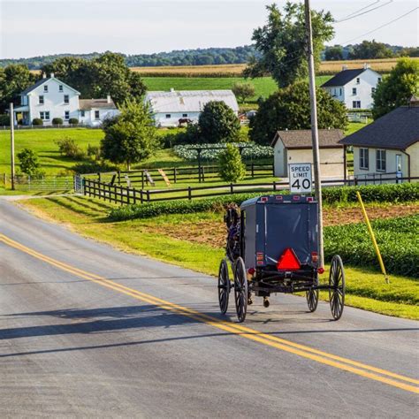 Best amish farmers market in lancaster pa. Amish Farm and House. Since 1955, Lancaster’s Premier Amish attraction offers an authentic and respectful look into the Amish culture. The area’s Living Heritage comes to life as you visit our house, farm, one-room school, animals, and local artisans. Countryside Bus Tours offered daily. Visit Website. 