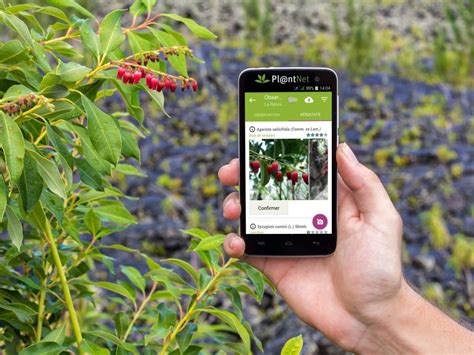 This is one of the best Android apps for identifying plants. 11. iNaturalist. By connecting users with a community of more than a million scientists and naturalists, iNaturalist—a joint project of the California Academy of Sciences and the National Geographic Society—aids in the identification of plants.. 