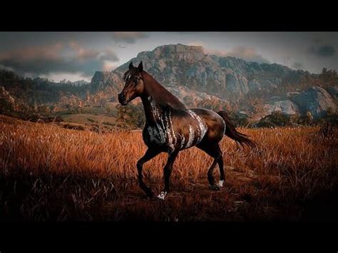 Best arabian horse rdr2. Dec 24, 2022 · Subscribed. 13K. 764K views 1 year ago. Arabian horses are the best & fastest horses in early game. I'm going to show red chestnut, white, black, warped brindle & Rose gray bay horse... 