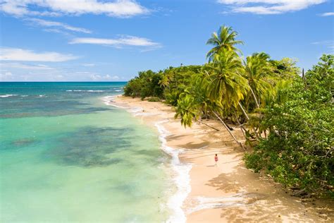 Best area to stay in costa rica. Nicaragua is the largest country in all of Central America, with a total area of 81,008.2 square miles. About 74,558 square miles of the country is land. Nicaragua shares a long bo... 