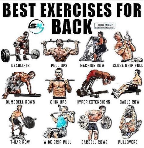 Best back exercises. Things To Know About Best back exercises. 