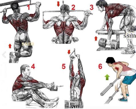 Best back workouts. Things To Know About Best back workouts. 