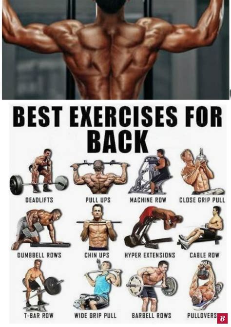 Best back workouts for men. Things To Know About Best back workouts for men. 