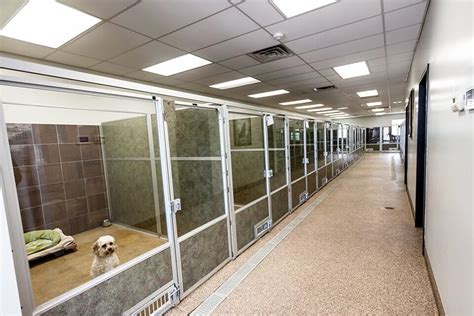Best boarding for dogs near me. When it comes to finding the perfect boarding dog kennels near you, there are several important factors to consider. As a responsible pet owner, you want to ensure that your furry ... 