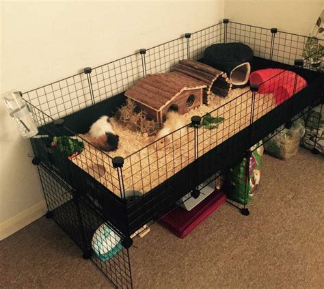 Best cages for guinea pigs. A single guinea pig needs at least 7.5 square feet of space – 30” x 26” is a good-sized guinea pig hutch. Two guinea pigs need at least 7.5 square to 10.5 square feet of space, such as a 30” x 50” hutch. Make sure to … 