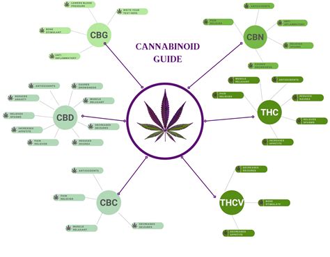 Best cannabinoids stocks. Meanwhile, Canada, as a mature market, will likely see lower growth, he says. With $227 million in assets under management, or AUM, this fund is the second-biggest cannabis ETF after MSOS. That ... 