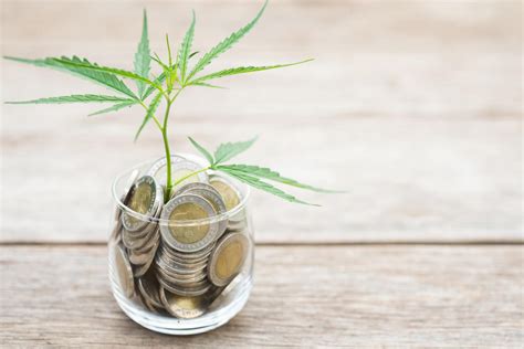 Best cannabis etf. Things To Know About Best cannabis etf. 