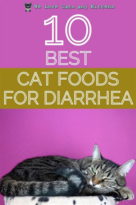 Best cat food for diarrhea. Hill’s Science Diet Dry Cat Food is the best overall option for sensitive stomachs that are prone to diarrhea. Not only … 
