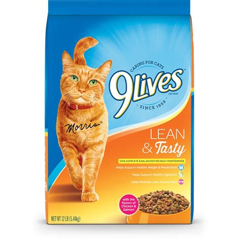Best cat food for weight loss. 