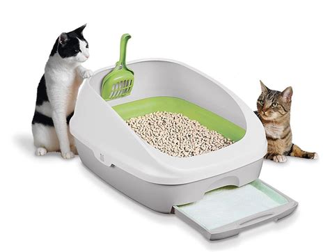 Best cat litter boxes for smell. 2 offers from $18.99. #2. Van Ness Pets Odor Control Extra Large, Giant Enclosed Cat Pan with Odor Door, Hooded, Blue, CP7. 17,446. 1 offer from $13.82. #3. Petmate Open Cat Litter Box, Extra Large Nonstick Litter Pan Durable Standard Litter Box, Mouse Grey Great for Small & Large Cats Easy to Clean, Made in USA. 29,673. 