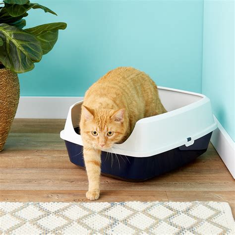 Best cat litter reddit. They're non-clumping, The urine dissolves into a fine dust. Because the urine dissolves, there’s less day-to-day waste to worry about. You can add more pellets to the box as needed and then go through a full litter box change every couple of weeks, or whenever it’s necessary. 14. K-i-n-o-k-o. 
