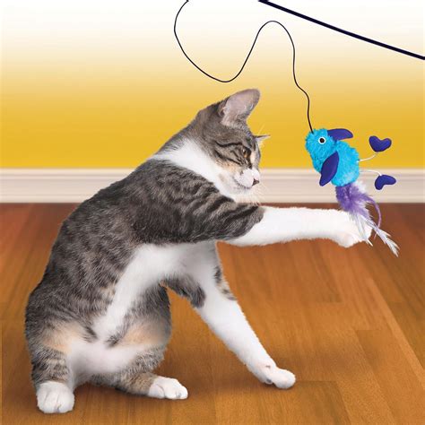 Best cat toys. Things To Know About Best cat toys. 