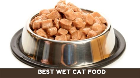 Best cat wet food. Pet cats eat commercial cat food that meets feline nutritional needs. This commercial food can be dry kibble that comes in a bag or wet food from a can or pouch. The diet can be su... 
