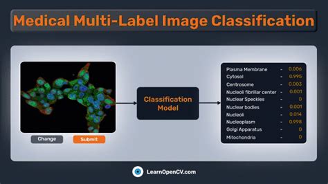 Best classification datasets.  Understanding the different PyTorch classi...